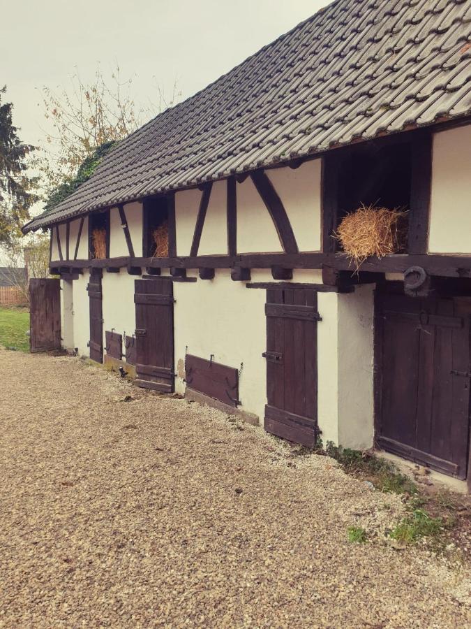 Gite Independant - Bretzel Et Bergamote Richtolsheim Buitenkant foto